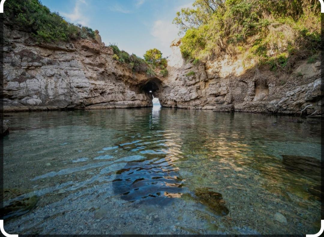 Casa Concy Daire Sant'Agnello Dış mekan fotoğraf